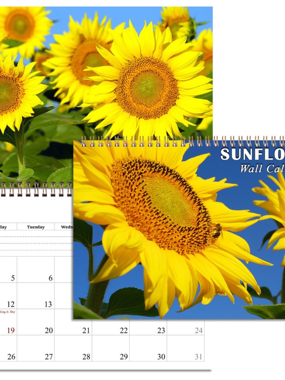 2027 Spiral-bound Wall Calendar (Sunflowers) - 12 Months Desktop/Wall Calendar